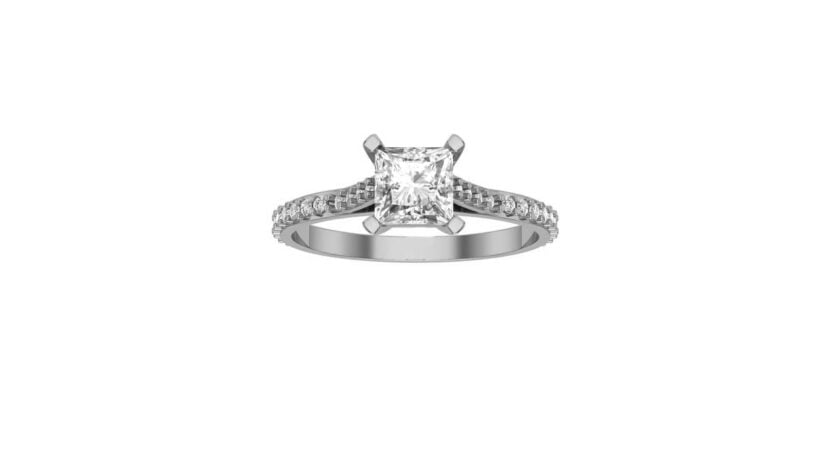 DiamondBand Princess Platinum b scaled