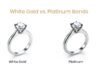 White Gold VS Platinum