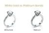 White Gold VS Platinum